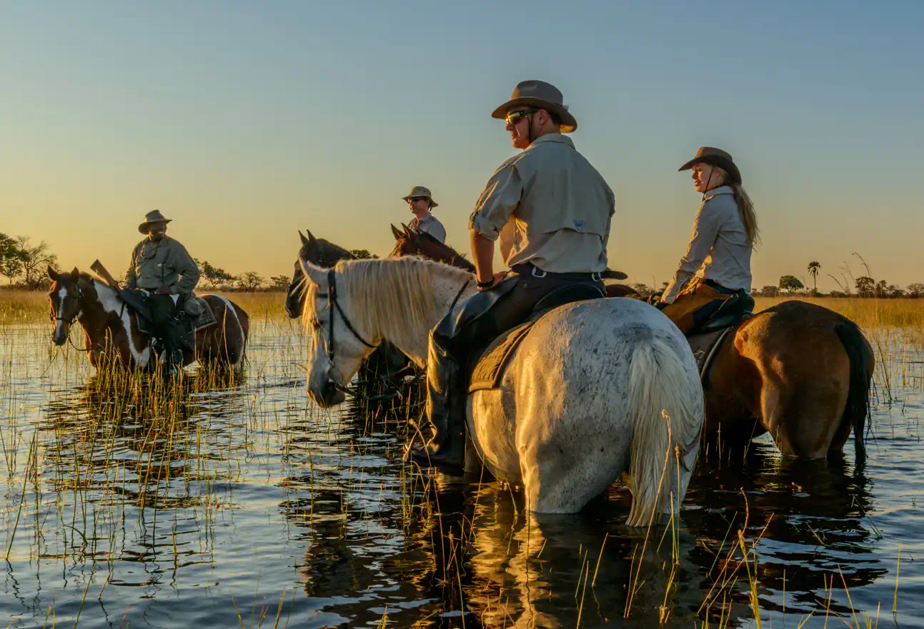 Macatoo Camp - horseback safaris - Botswana