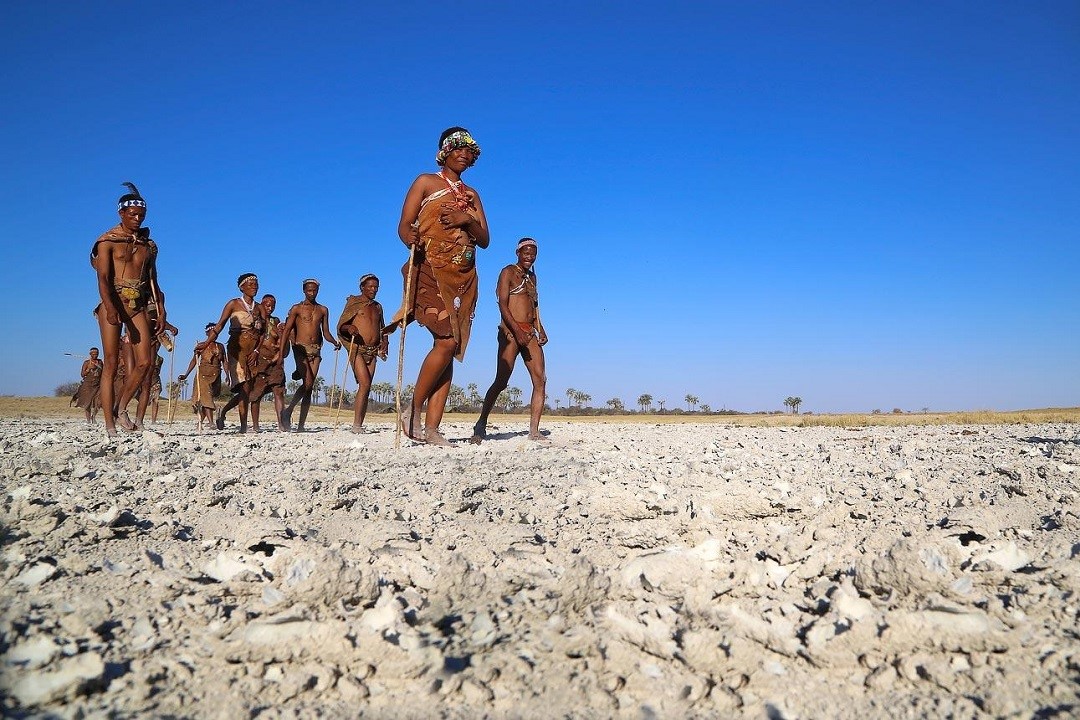 Makgadikgadi - Bushman walks - Jacks Camp