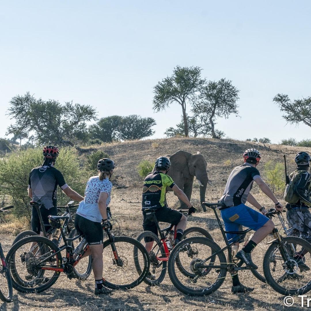Mountain bike safaris - Mashatu - Botswana