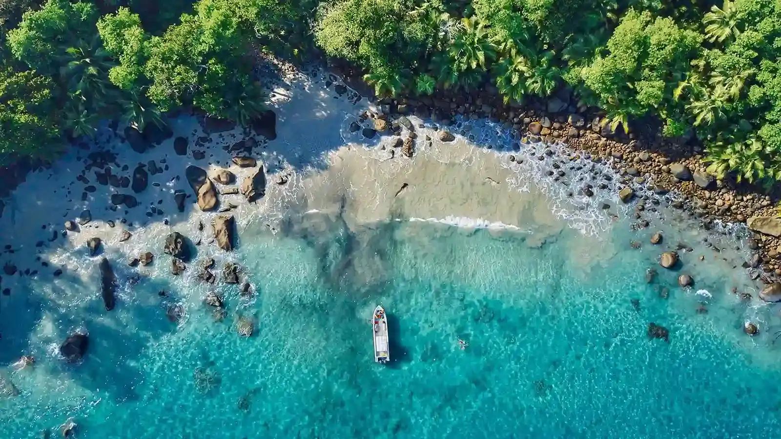 Zanzibar shoreline